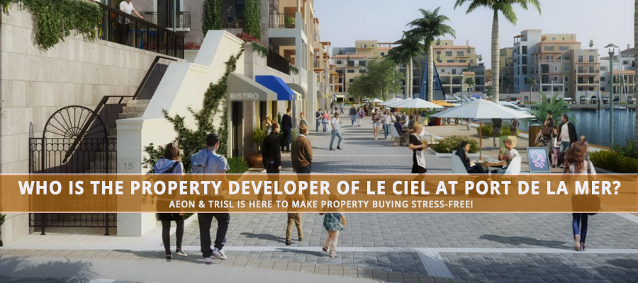 Who Is The Property Developer Of Le Ciel At Port De La Mer?