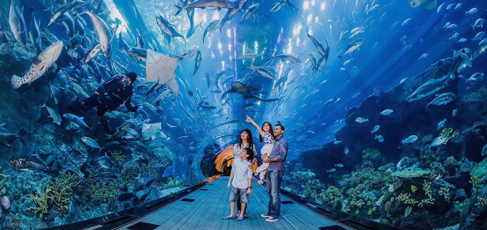 Dubai Aquarium’s Underwater World