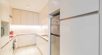 1 BR Fully Furnished | Partial Marina View