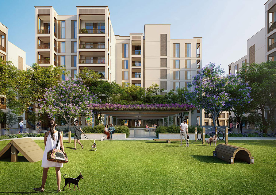 Cedar At Creek Beach Highlights