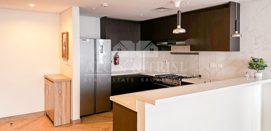Brand New | Fully Furnished | Near Downtown.