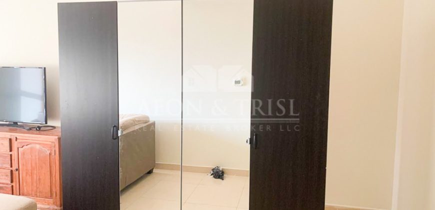 Stunning 1 Bed | Fully Furnished | Saba Tower 2