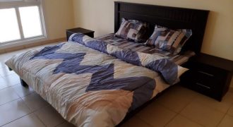 1 Bedroom | Furnished | Emirates Gardens
