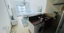 Fully Furnished |Close to Metro | Chiller Gas Free