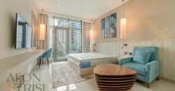 Fully Furnished | Luxury Studio Apartment