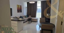 1 BR | Furnished | Well Maintained | Vacant