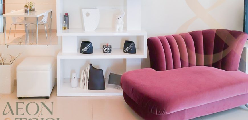 Furnished 2 BR | Near Metro Station | Park View