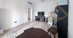 Fully Furnished | Upgraded | Sea View | Near Tram.