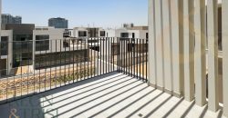 Central Spot | Large Type A | Immaculate Condition