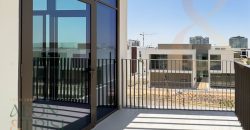 Central Spot | Large Type A | Immaculate Condition