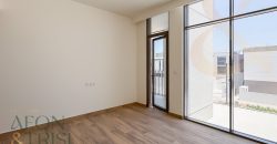 Central Spot | Large Type A | Immaculate Condition