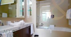Super Luxurious | 03 Series | Burj fountain views