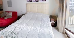 Investment Property | Fully Furnished | High ROI